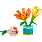 LEGO Friendship Flowers Set 30634