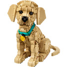 LEGO Golden Retriever Puppy Set 11384