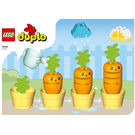 LEGO Growing Carrot Set 10981 Instructions