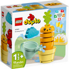 LEGO Growing Carrot Set 10981 Packaging