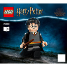 LEGO Harry Potter & Hermione Granger 76393 Instructions