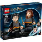 LEGO Harry Potter & Hermione Granger Set 76393 Packaging