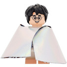 LEGO Harry Potter Minifigurine