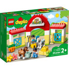 LEGO Paard Stable en Pony Care 10951 Packaging