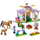 LEGO Paard Training 41746