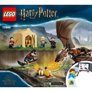 LEGO Hungarian Horntail Triwizard Challenge 75946 Anweisungen