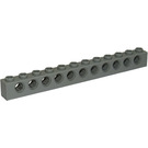 LEGO Light Gray Brick 1 x 12 with Holes (3895)