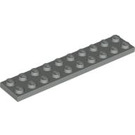 LEGO Light Gray Plate 2 x 10 (3832)