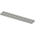 LEGO Grigio chiaro Piastra 2 x 12 (2445)