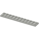 LEGO Hellgrau Platte 2 x 12 (2445)