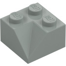 LEGO Grigio chiaro Pendenza 2 x 2 (45°) con Doppio Concave (Superficie ruvida) (3046 / 4723)