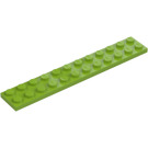 LEGO Limoen Plaat 2 x 12 (2445)