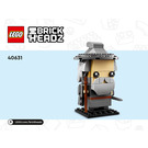 LEGO Lord of the Rings: Gandalf the Grey & Balrog Set 40631 Instructions