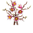 LEGO Magnolia Branches Set 11510