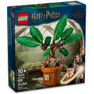 LEGO Mandrake  Set 76433 Packaging