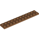 LEGO Mittleres dunkles Fleisch Platte 2 x 12 (2445)