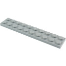 LEGO Medium Stone Gray Plate 2 x 10 (3832)