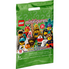 LEGO Minifigures Series 21 Random Bag Set 71029-0 Packaging