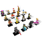 LEGO Minifigures - Series 8 - Complete  8833-17