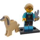 LEGO Pet Groomer Set 71045-12
