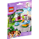 LEGO Poodle's Little Palace Set 41021 Packaging