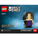 LEGO Professors of Hogwarts Set 40560 Instructions