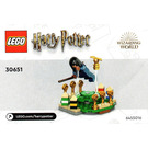 LEGO Quidditch Practice 30651 Instruktioner