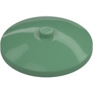 LEGO Zandgroen Dish 4 x 4 (Massieve nop) (3960 / 30065)