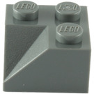 LEGO Steigung 2 x 2 (45°) mit Doppelt Concave (Raue Oberfläche) (3046 / 4723)