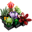 LEGO Succulents Set 10309