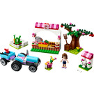 LEGO Sunshine Harvest 41026