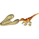LEGO Beige Atrociraptor Dinosaurier Tan und Orange mit Dark rot Streifen