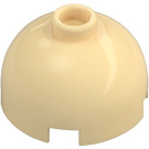 LEGO Beige Klods 2 x 2 Rund med Dome Top (Sikkerheds knops, akselholder) (3262 / 30367)