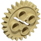 LEGO Tan Gear with 24 Teeth (3648 / 24505)