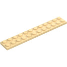 LEGO Zandbruin Plaat 2 x 12 (2445)