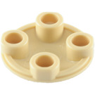 LEGO Tan Plate 2 x 2 Round with Rounded Bottom (2654 / 28558)