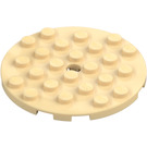 LEGO Beige Plate 6 x 6 Rund med Stift Hull (11213)