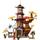 LEGO Temple of the Draak Energy Cores 71795