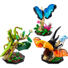 LEGO The Insect Collection Set 21342