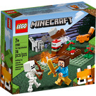 LEGO The Taiga Adventure Set 21162 Packaging