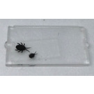 LEGO Transparent Glass for Window 1 x 2 x 3 with Insects Sticker (35287)