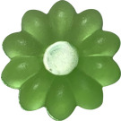 LEGO Vert Clair Lumineux Transparent Clikits Daisy Petit avec 10 Pétales (45456 / 46282)