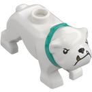 LEGO Blanco Perro - Bulldog con Turquoise Cuello (106605)