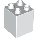 LEGO blanc Duplo Brique 2 x 2 x 2 (31110)