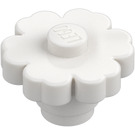 LEGO White Flower 2 x 2 with Solid Stud (98262)