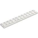 LEGO Vit Platta 2 x 12 (2445)