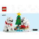 레고 Wintertime Polar Bears 40571 지침