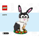 LEGO Year of the Konijn 40575 Instructions