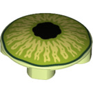 LEGO Verde amarillento Placa 2 x 2 Circular con Redondeado Parte inferior con Eyeball (2654 / 64141)