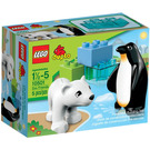 LEGO Zoo Friends Set 10501 Packaging